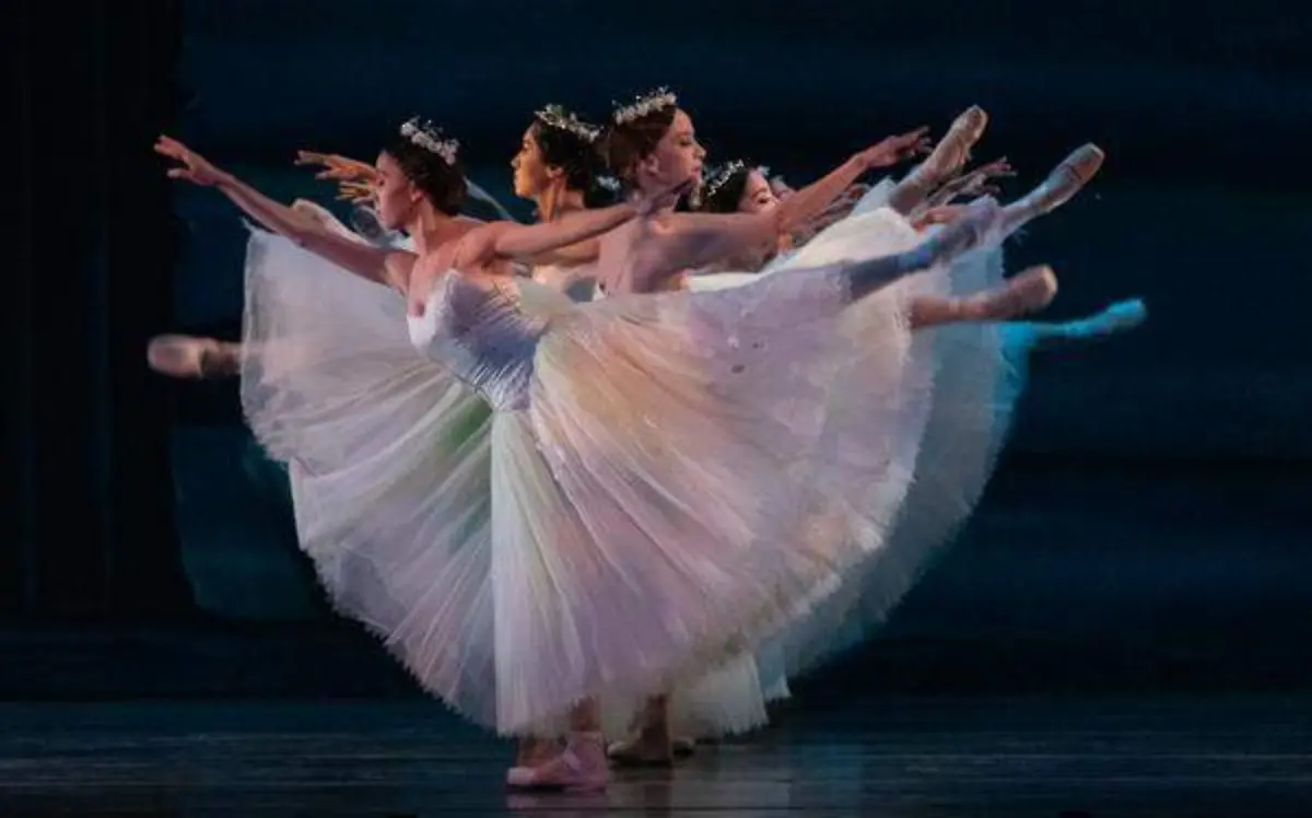 Las Wiilis vagan por el bosque durante las noches