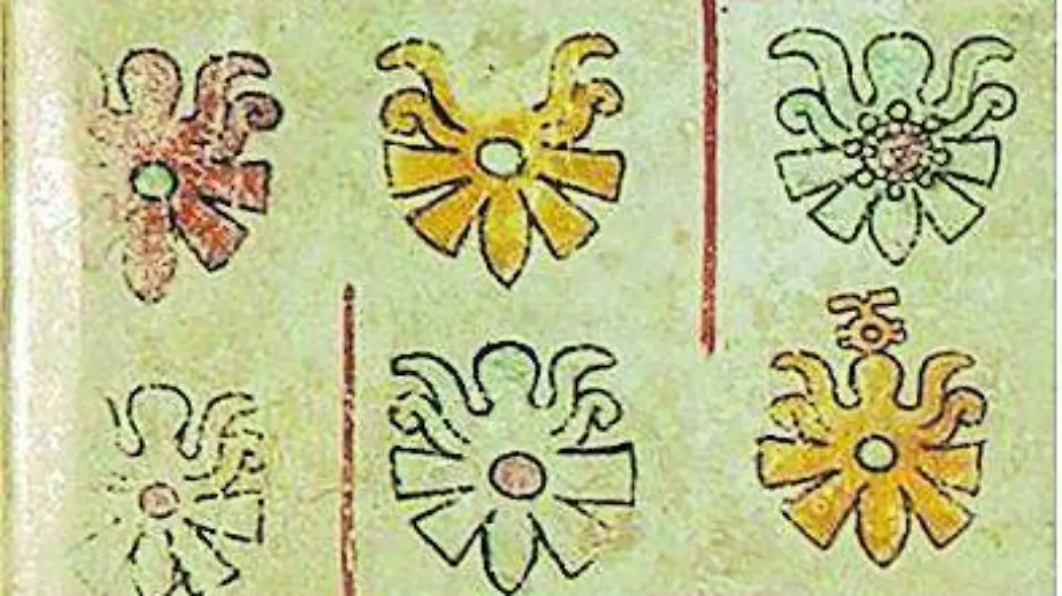 Lámina 8 del códice Becker en la que se observan varias mariposas