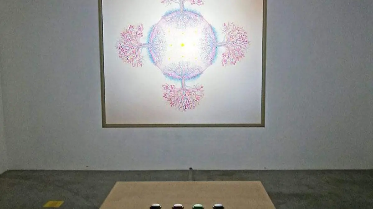 conversatorio-macc-poder-de-la-luz-2