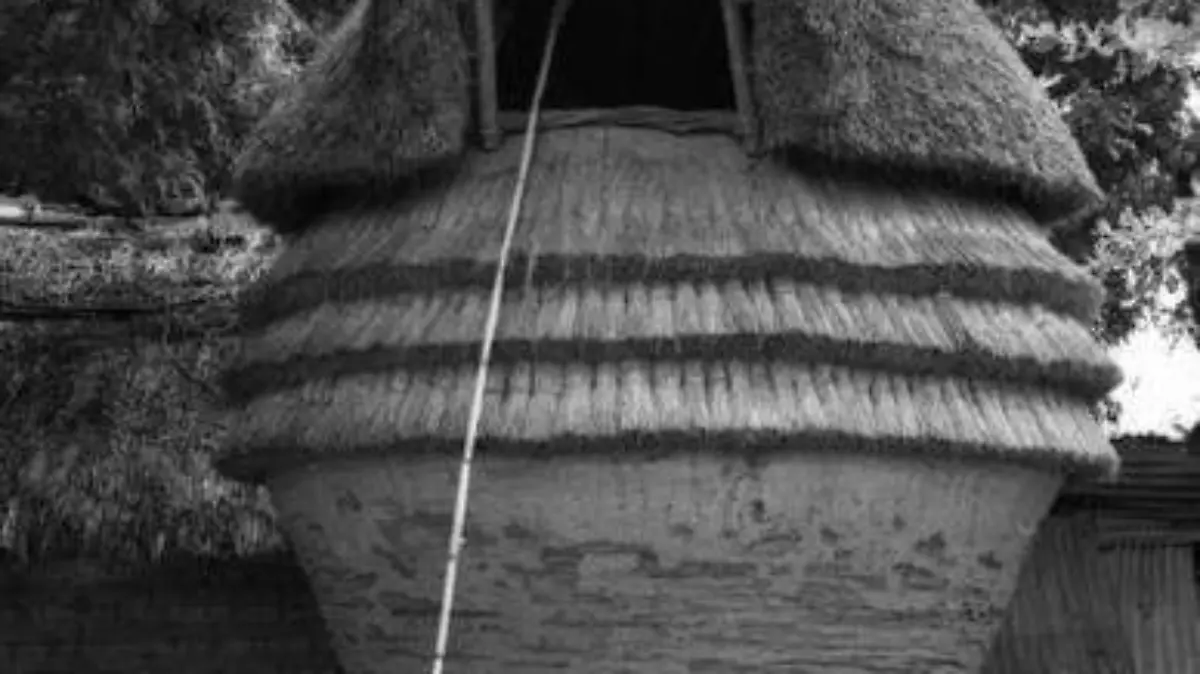 Cuexcomate. Chalcatzingo, 1972-1974. No