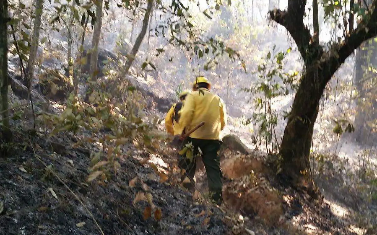 Incendio en La Canoa