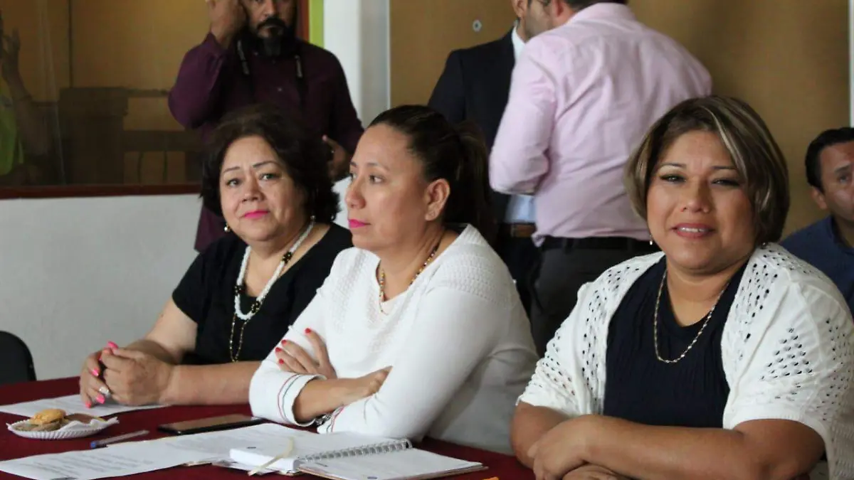 Ariadna Barrera Vázquez, diputada por el VI Distrito de Morena