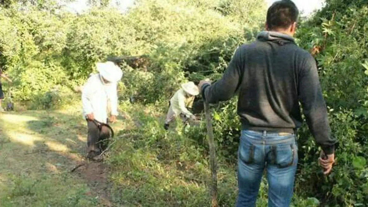 WhatsApp Image 2019-08-12 at 15.16.34