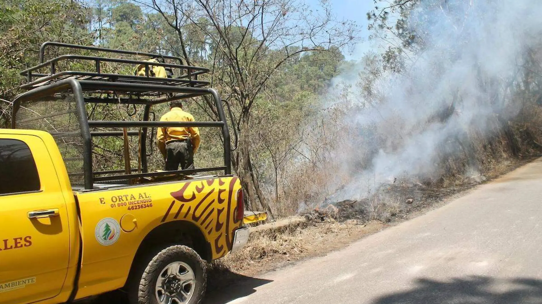 brigadistas-morelos-incendios-forestales-foto-angustin-espinoza