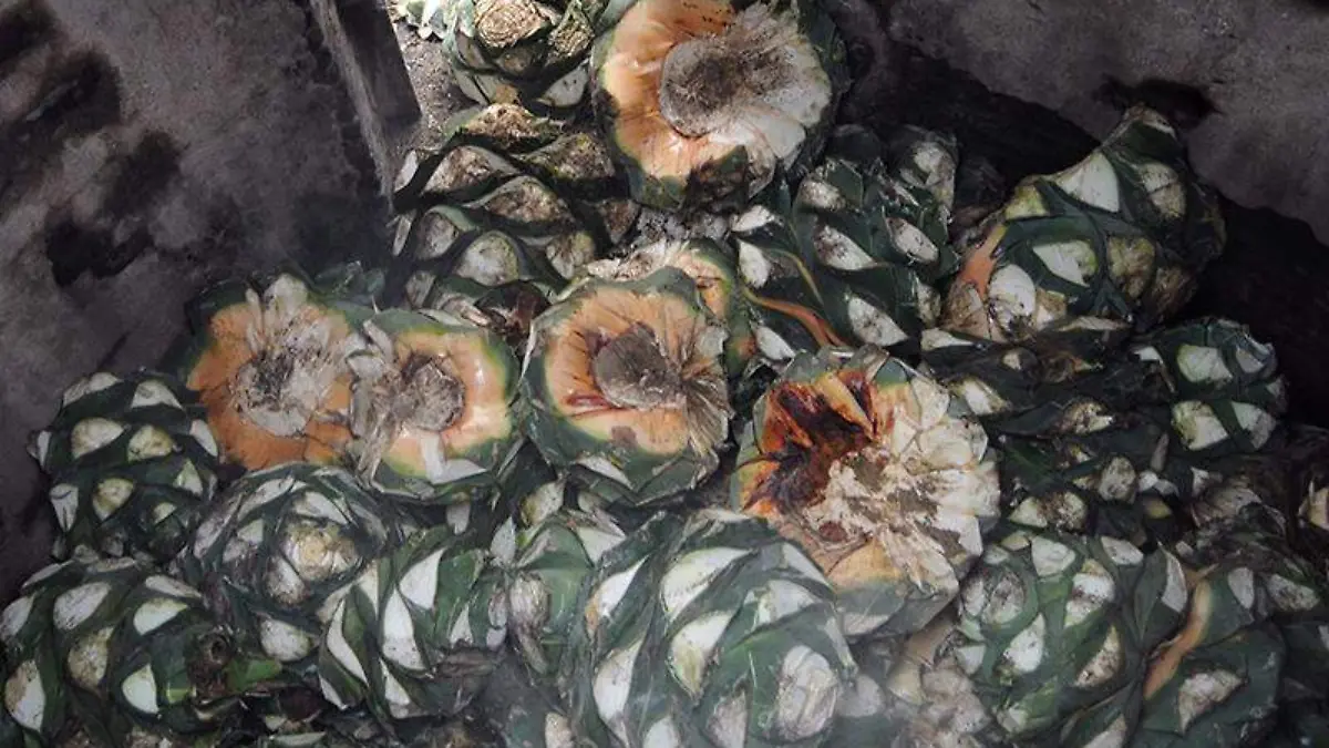 Mezcal, el sabor de Morelos