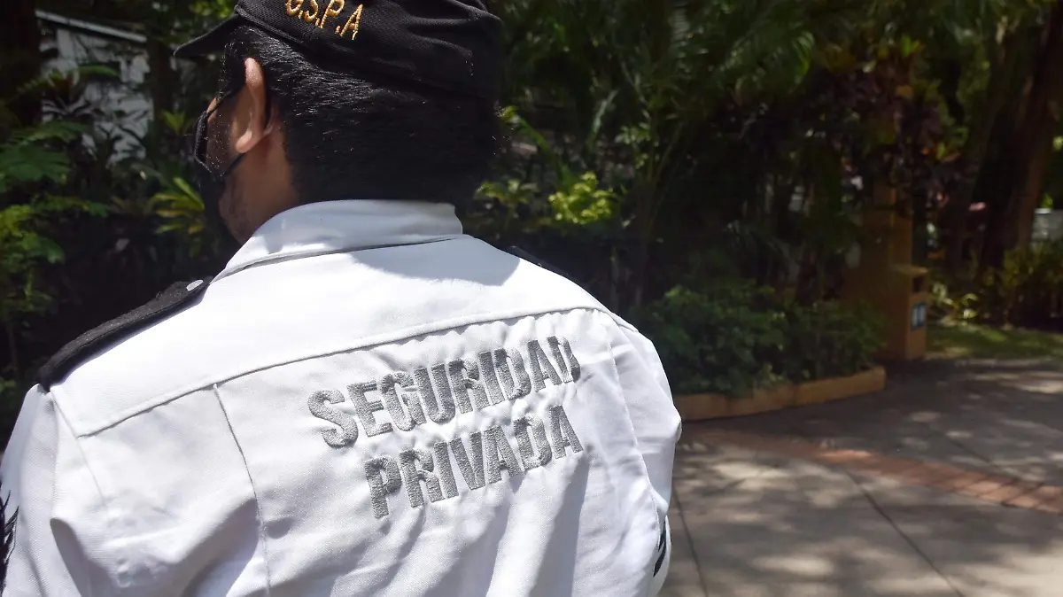 civiles-quitan-oportunidad-a-seguridad-privada-froylán