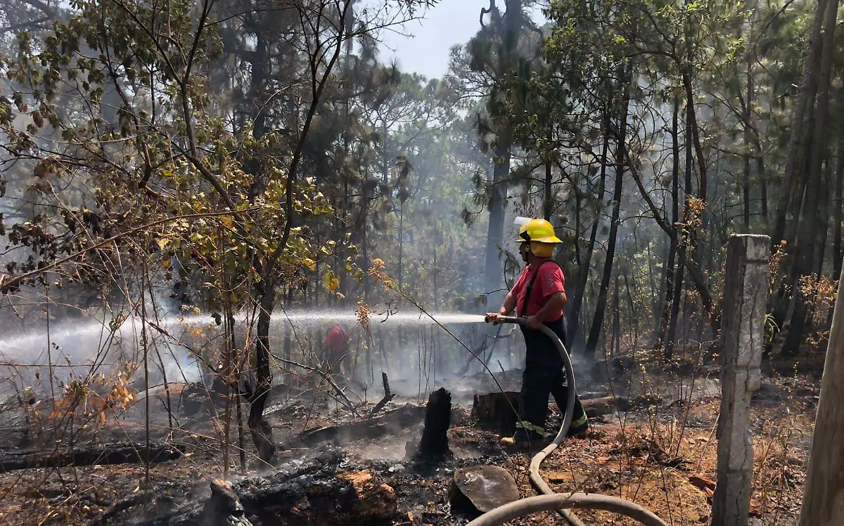 incendio-del-bosque