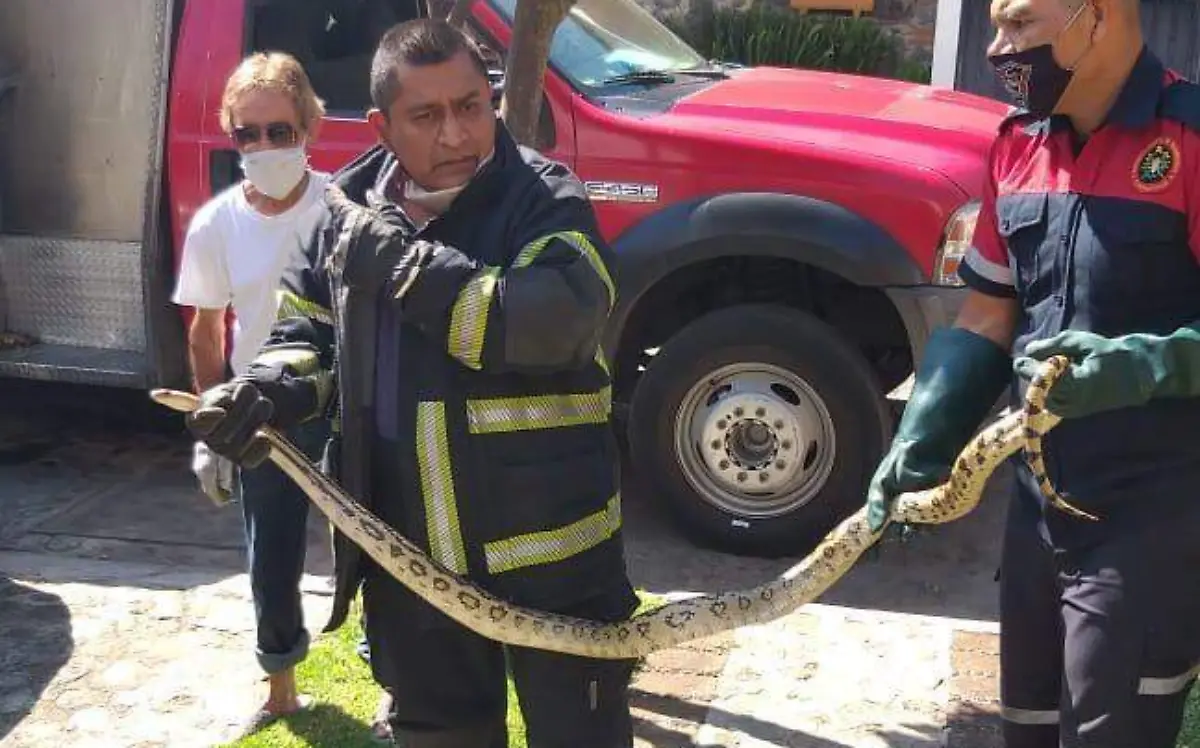 Bomberos