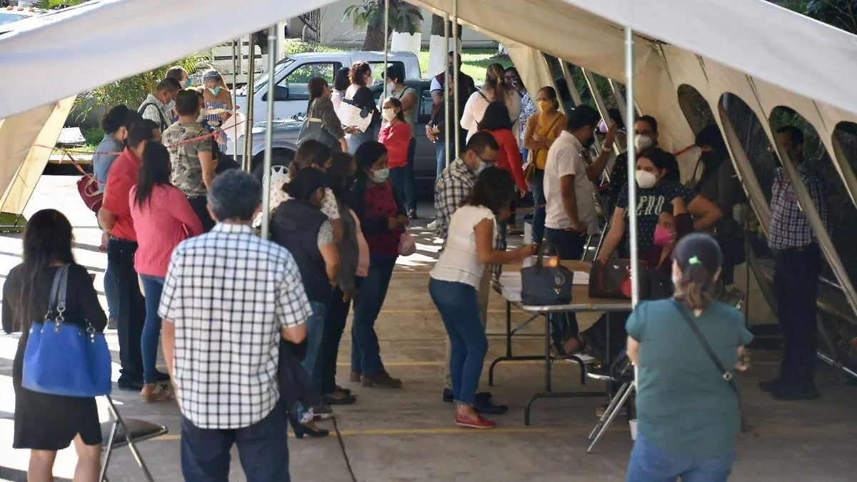 maestros-buscan-plazas (2)