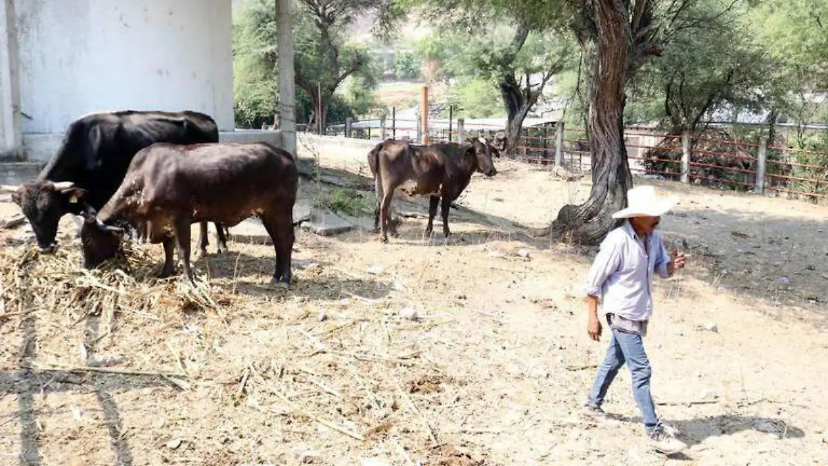 Ganaderos-olvidados-gobiernoB