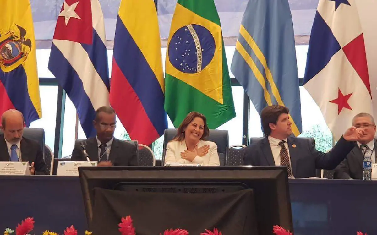 WhatsApp Image 2019-06-14 at 9.50.50 PM