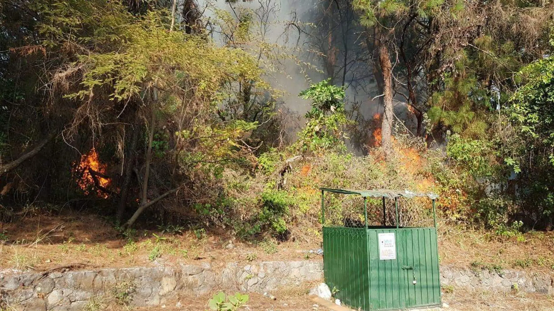 Incendio-tepoz-forestal