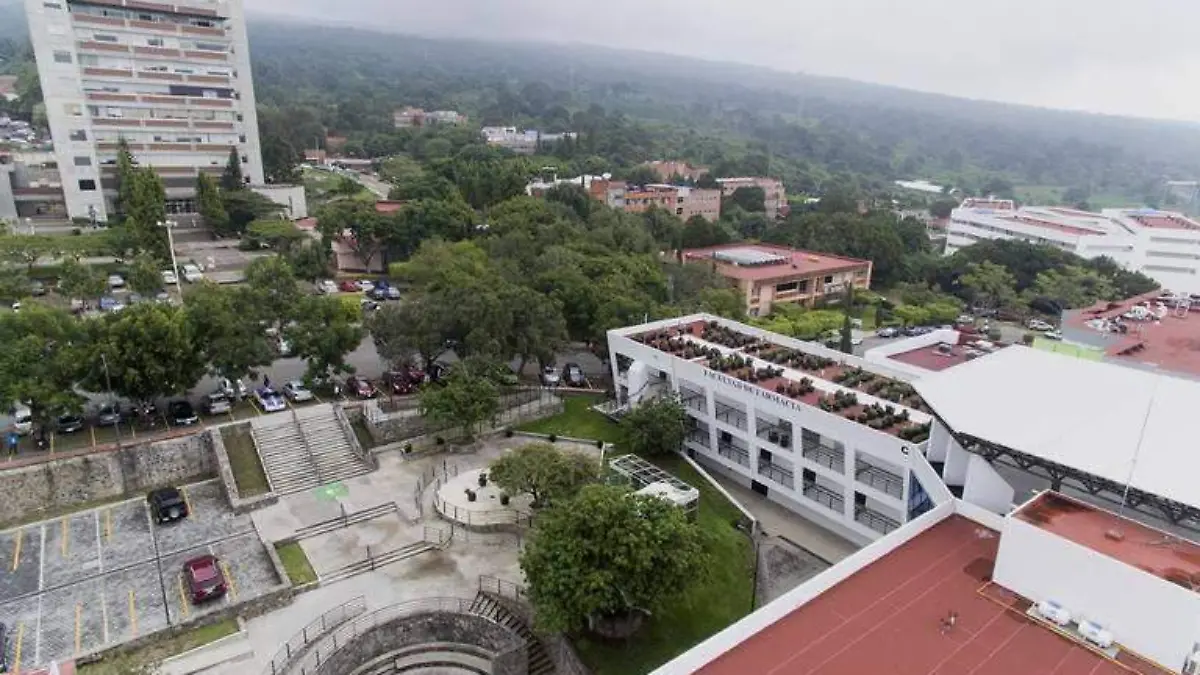 WhatsApp Image 2021-05-09 at 16.17.15