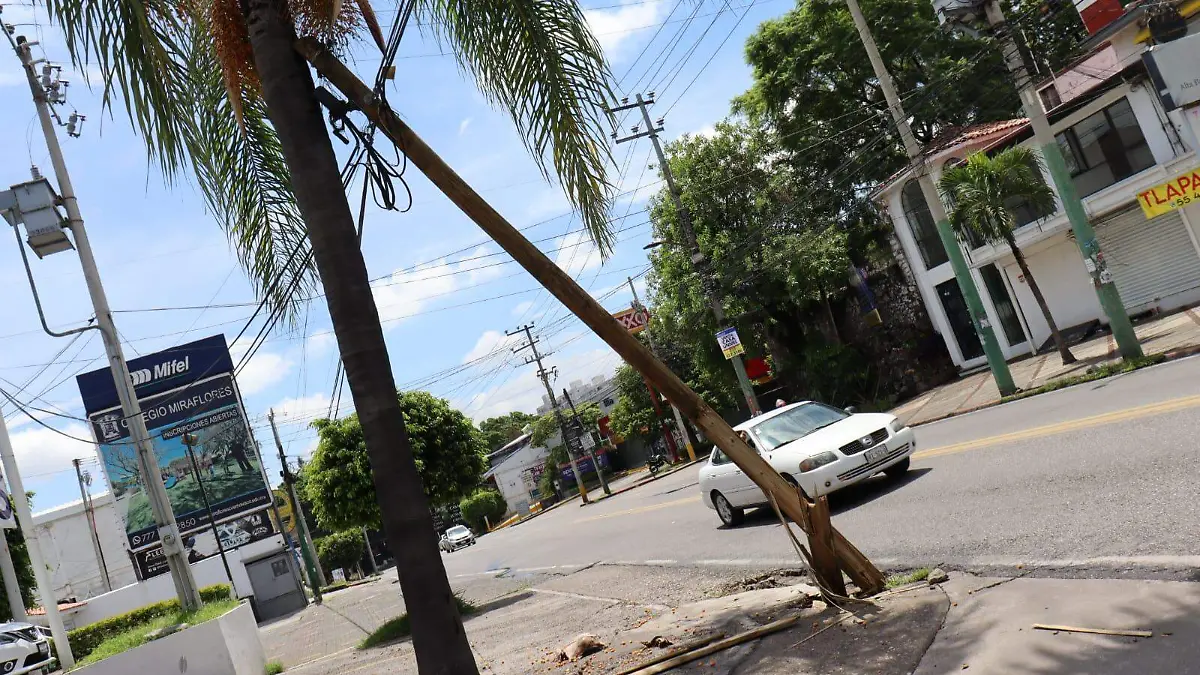 postes-avenida-plan-de-ayala-luis