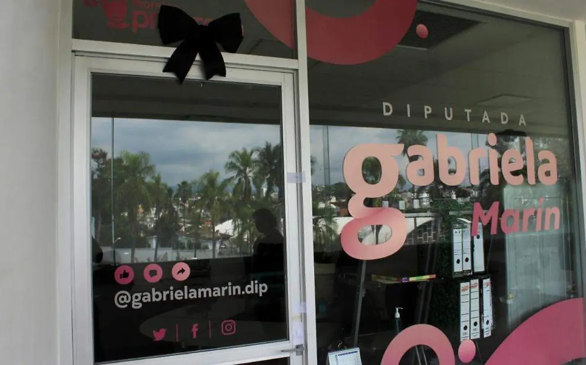 congreso-eleccion-reemplazo-diputada