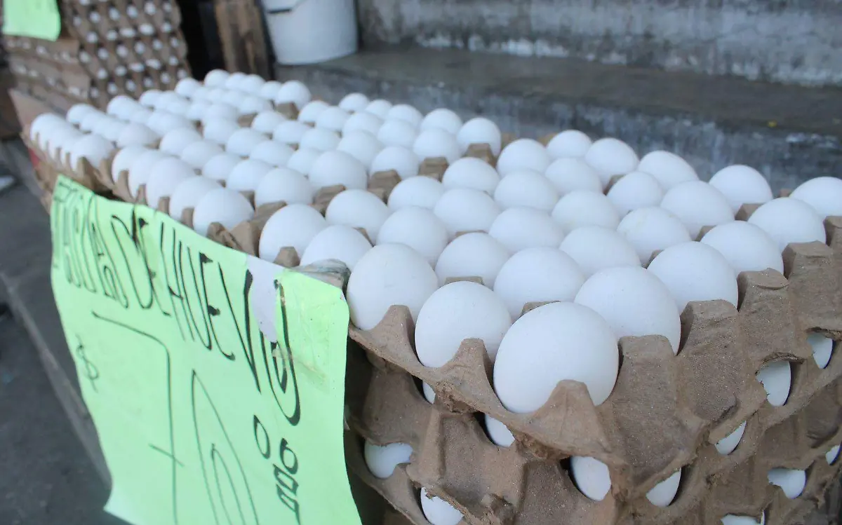 huevo-alimentos-canasta-básica-agustín