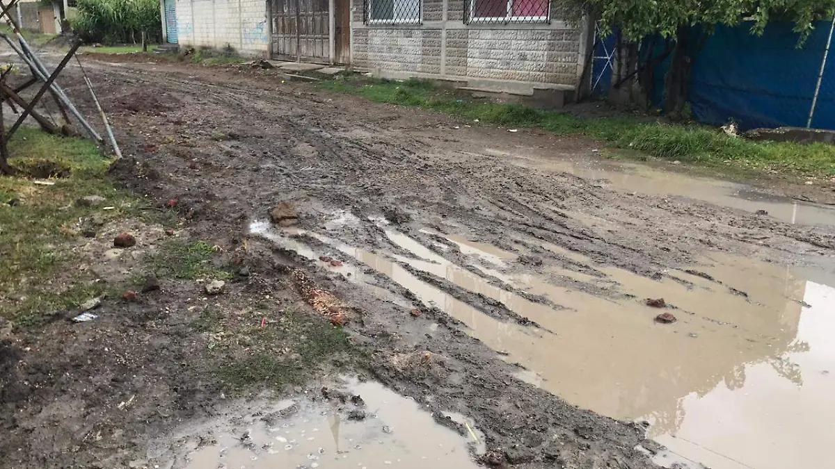 Charcos de lodo (2)