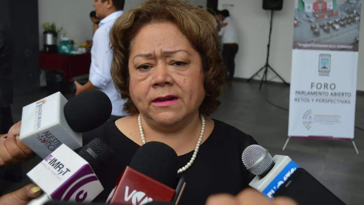 La diputada Elsa Delia González Solórzano, de Movimiento Regeneración Nacional