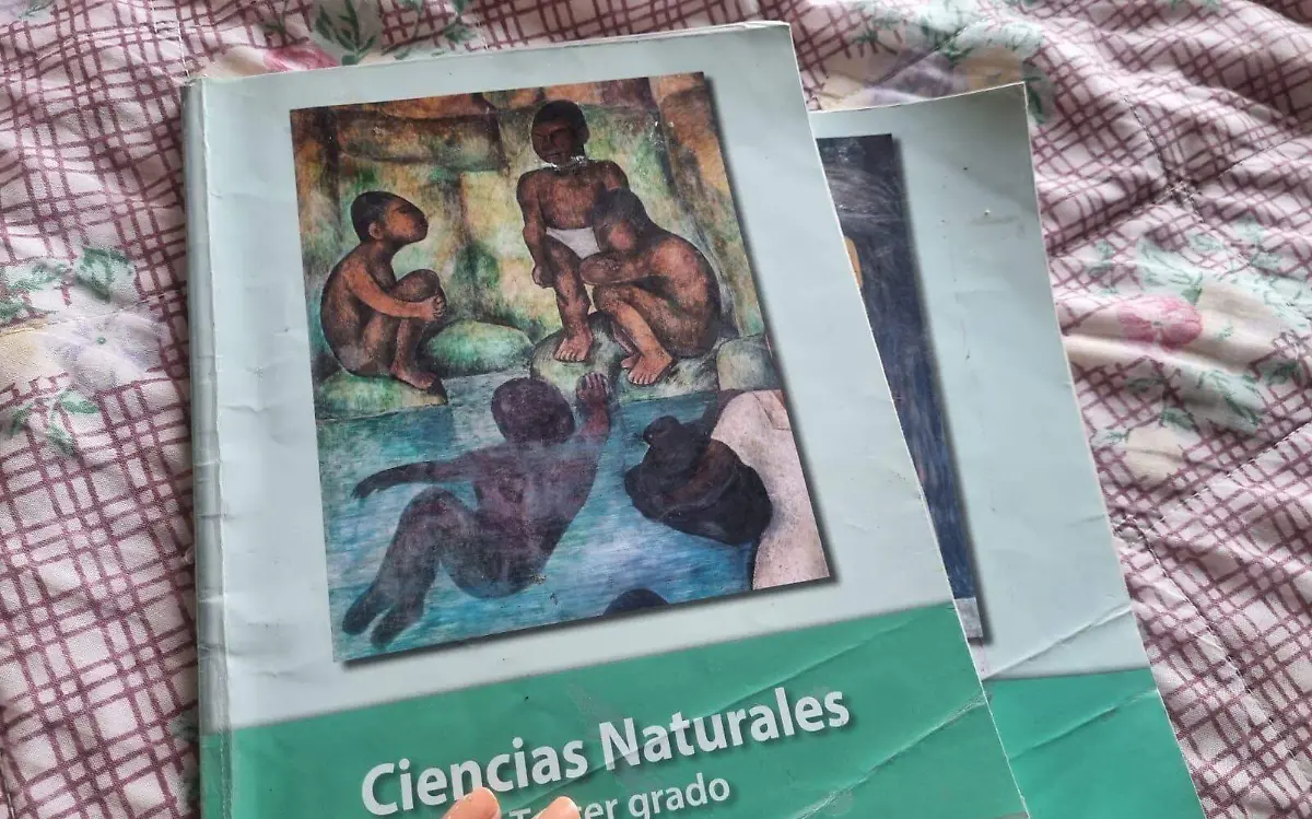 libros-sep-educación-agustín