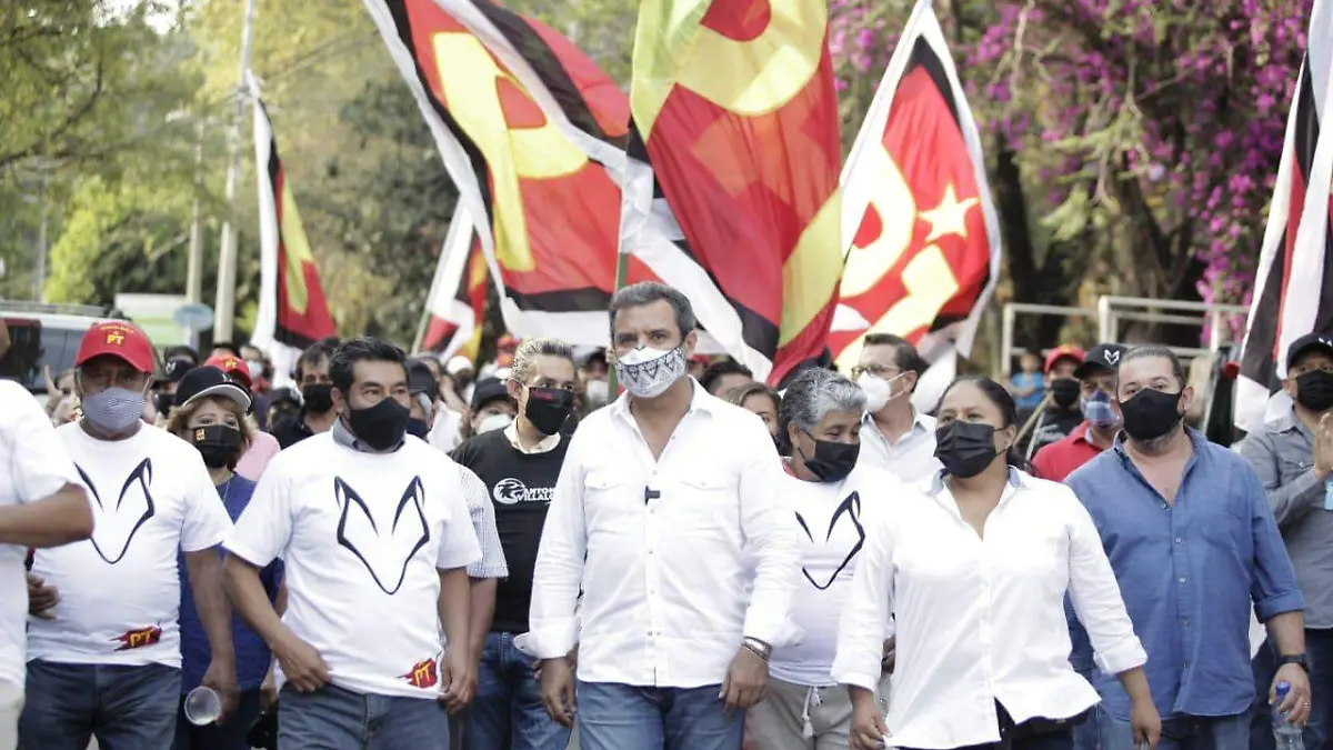 WhatsApp Image 2021-04-26 at 21.08.10