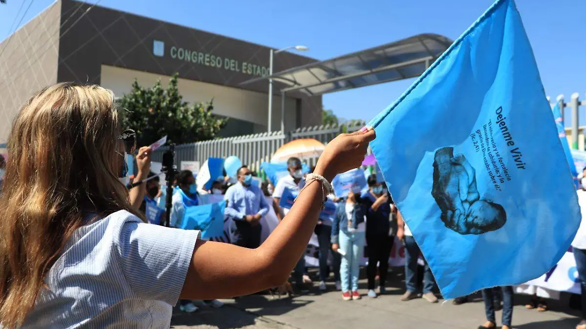 Provida-congreso-protestas