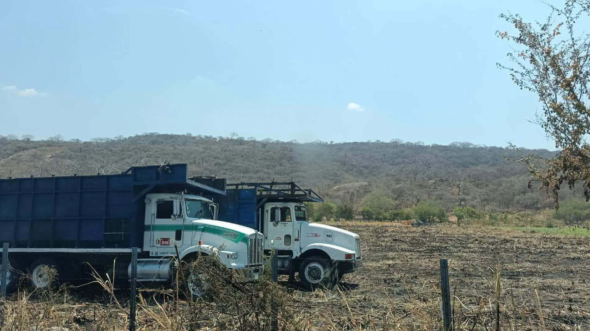 cañeros-zacatepec