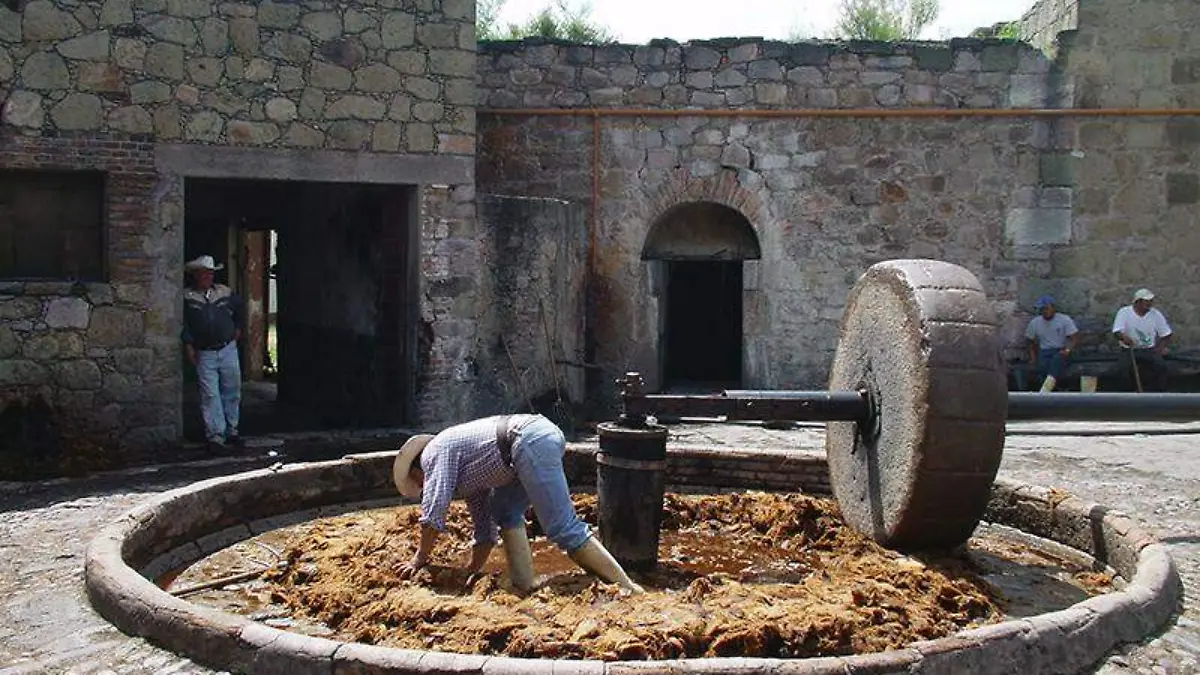 Mezcal, el sabor de Morelos