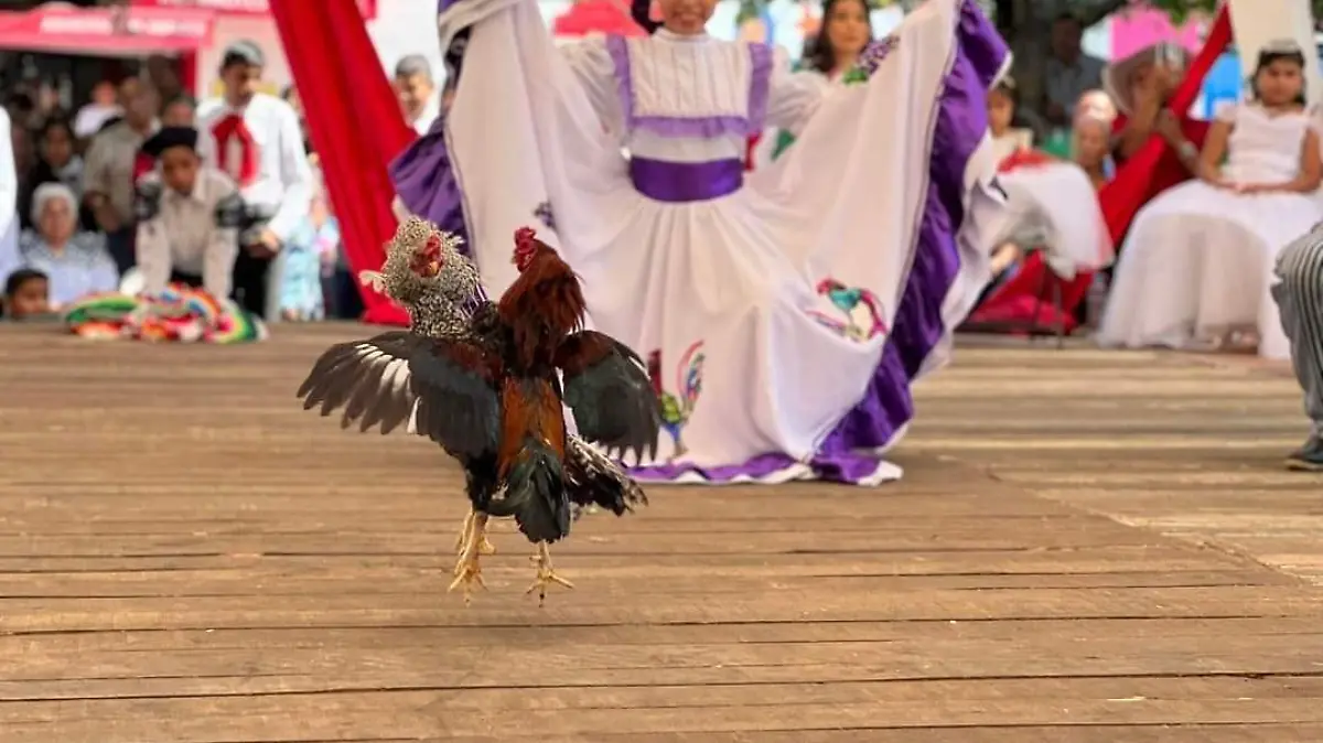 WhatsApp Image 2023-09-22 at 3.12.16 PM (1)