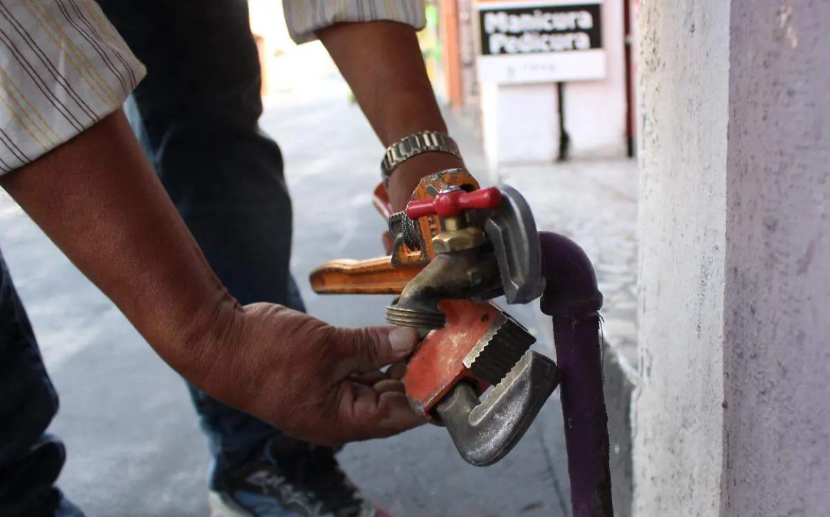 WhatsApp Image 2019-05-07 at 2.35.09 PM