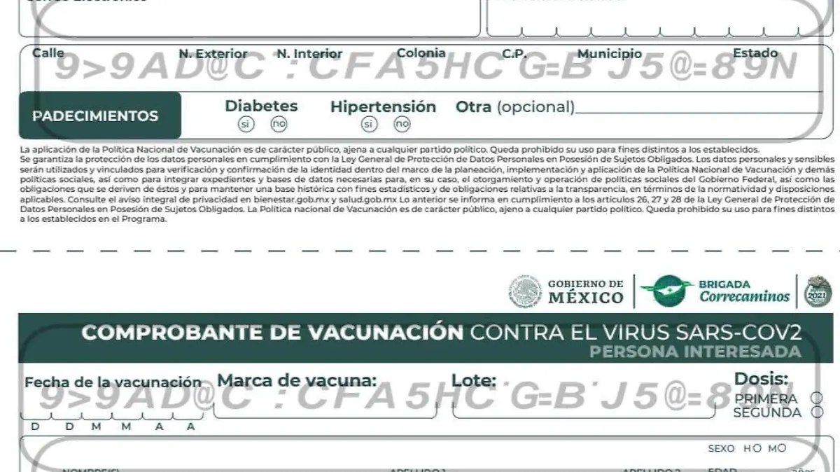 formato1
