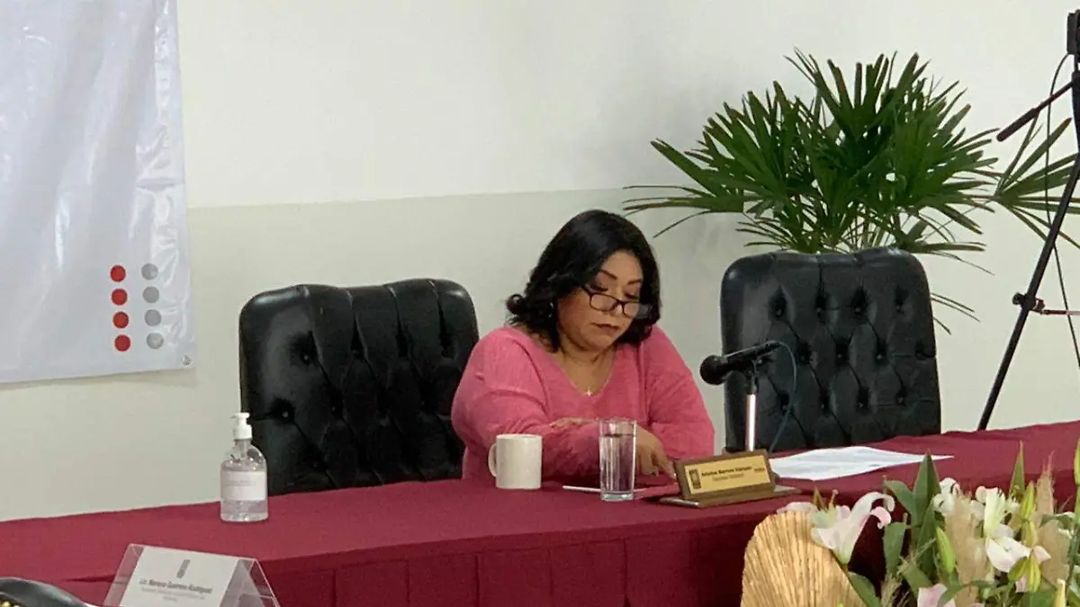 diputada ariadna barrera
