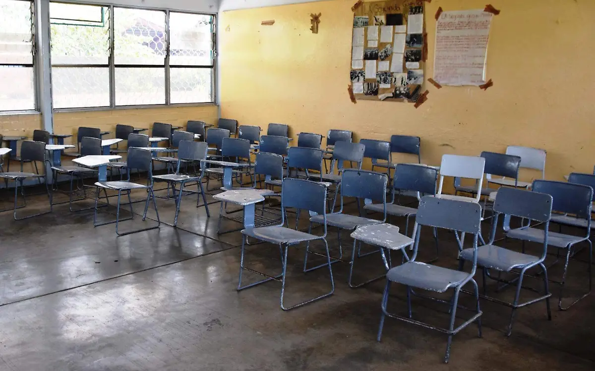 abandono-educación-básica