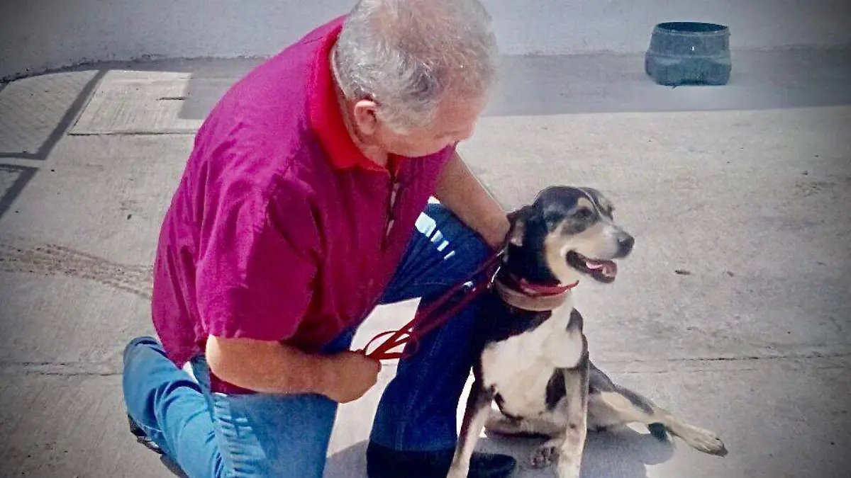 Mascotas Centro de Acopio Cuernavaca (2)