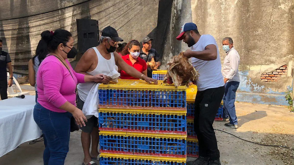 Pollas-jojutla-paquetes A