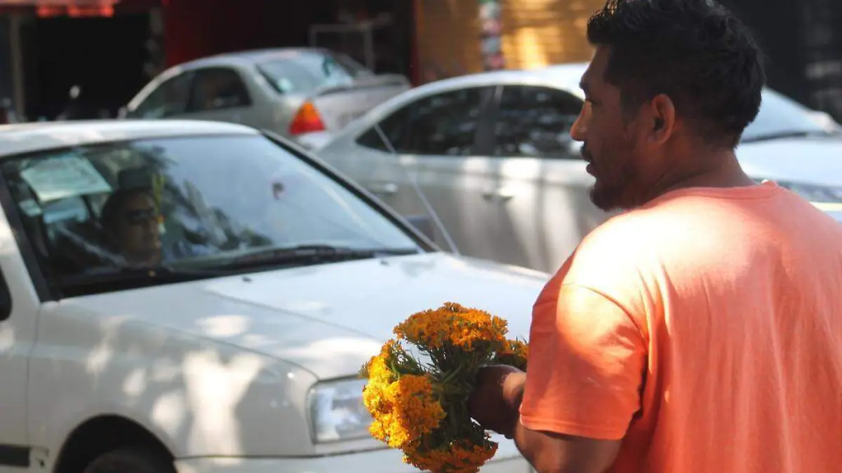 AGUS-F4V La tradición continúa, ya hay a la venta cruces de flor de petición (4)