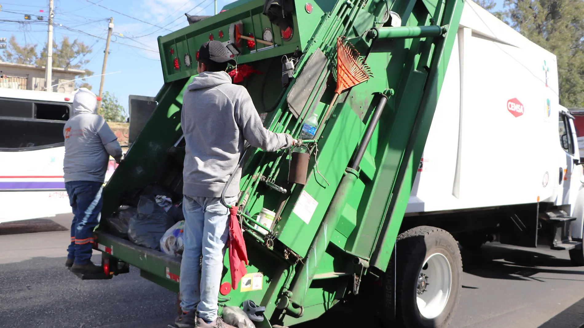 servicio-de-recolección-de-basura-froylán