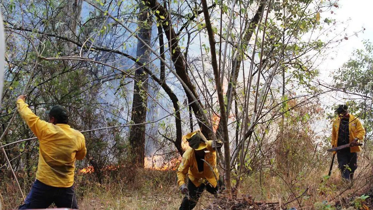 Incendios forestales (2)