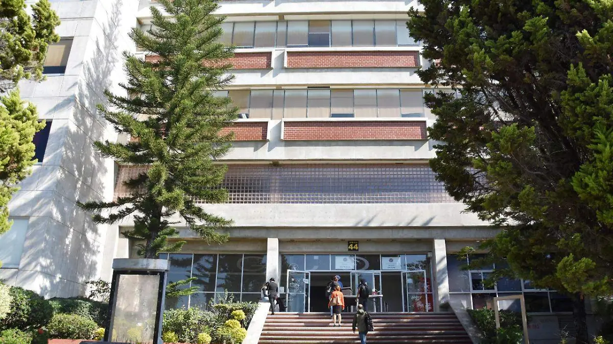 WhatsApp Image 2021-03-10 at 5.30.36 PM