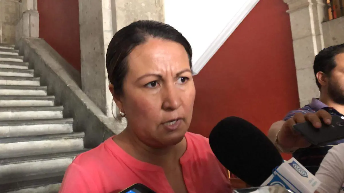 Dalila Morales Sandoval, del PAN,