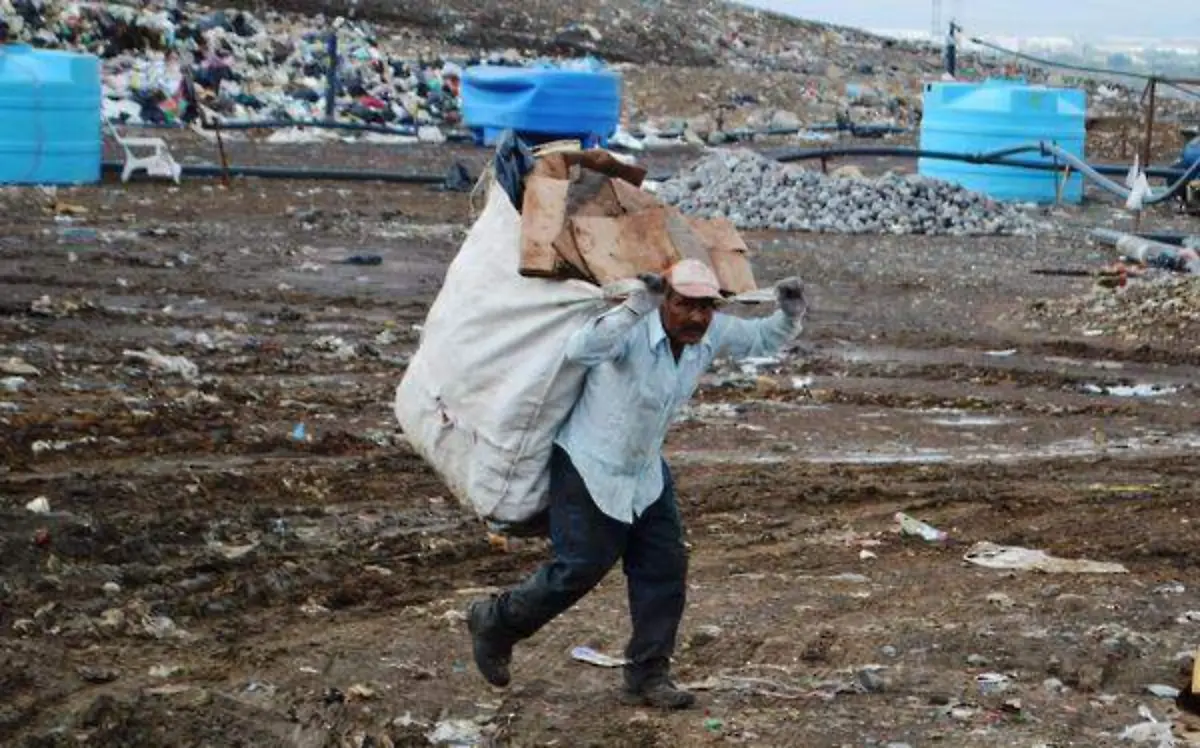 Comienzan su labor a las 8:00 horas