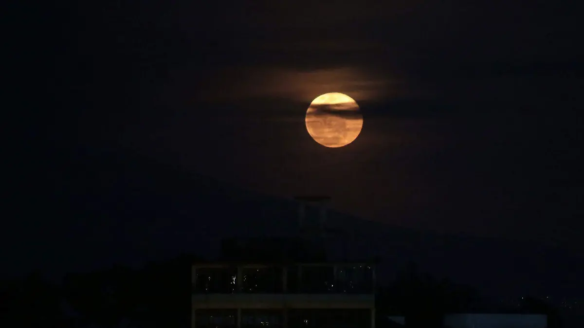 cuartoscuro_748163_digital