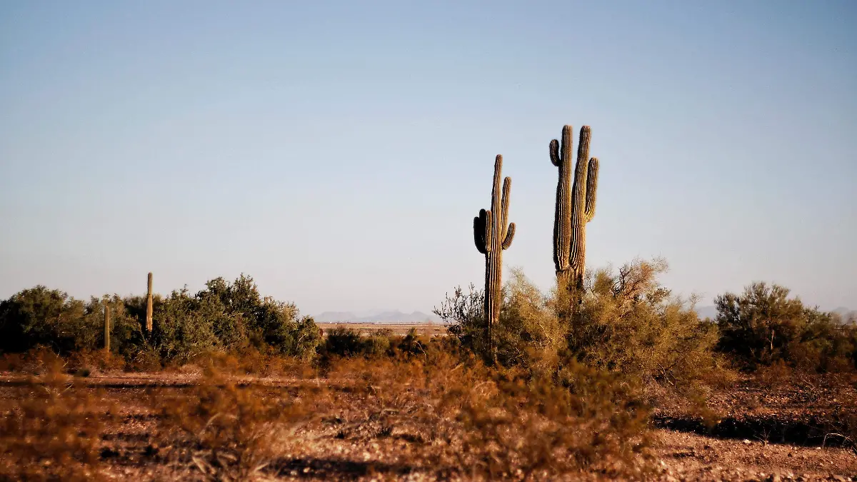 Frontera-ilegal-mexico