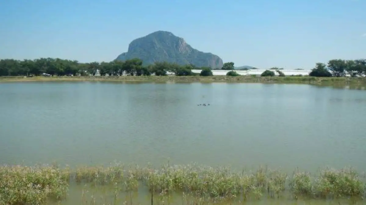 zonaoriente-presas-gobmor