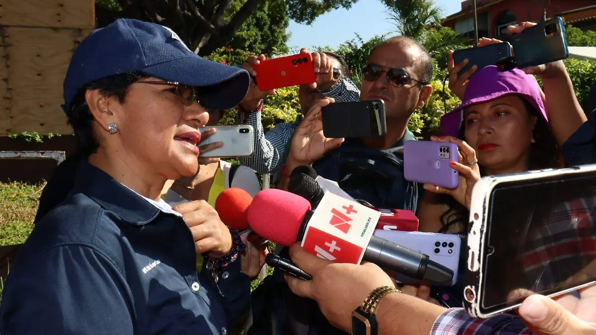 alicia-vazquez-luna-seguridad-luis