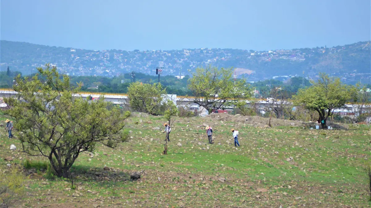 El suelo como recurso natural