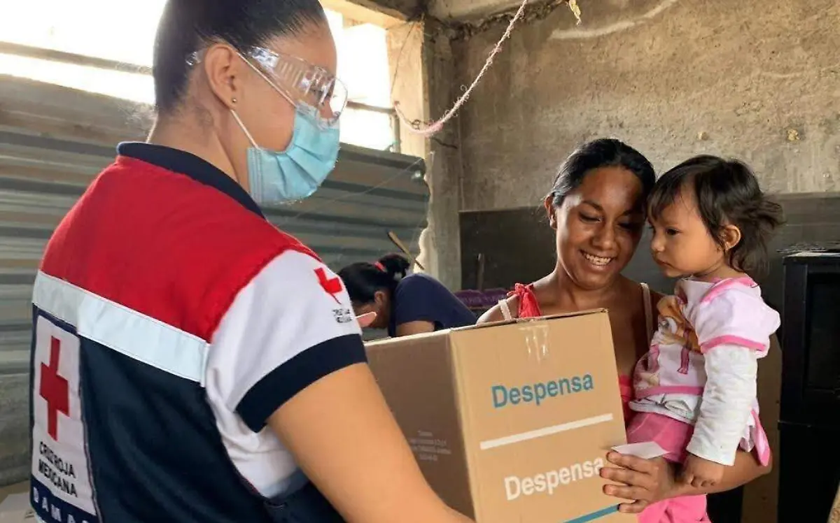 Voluntarios
