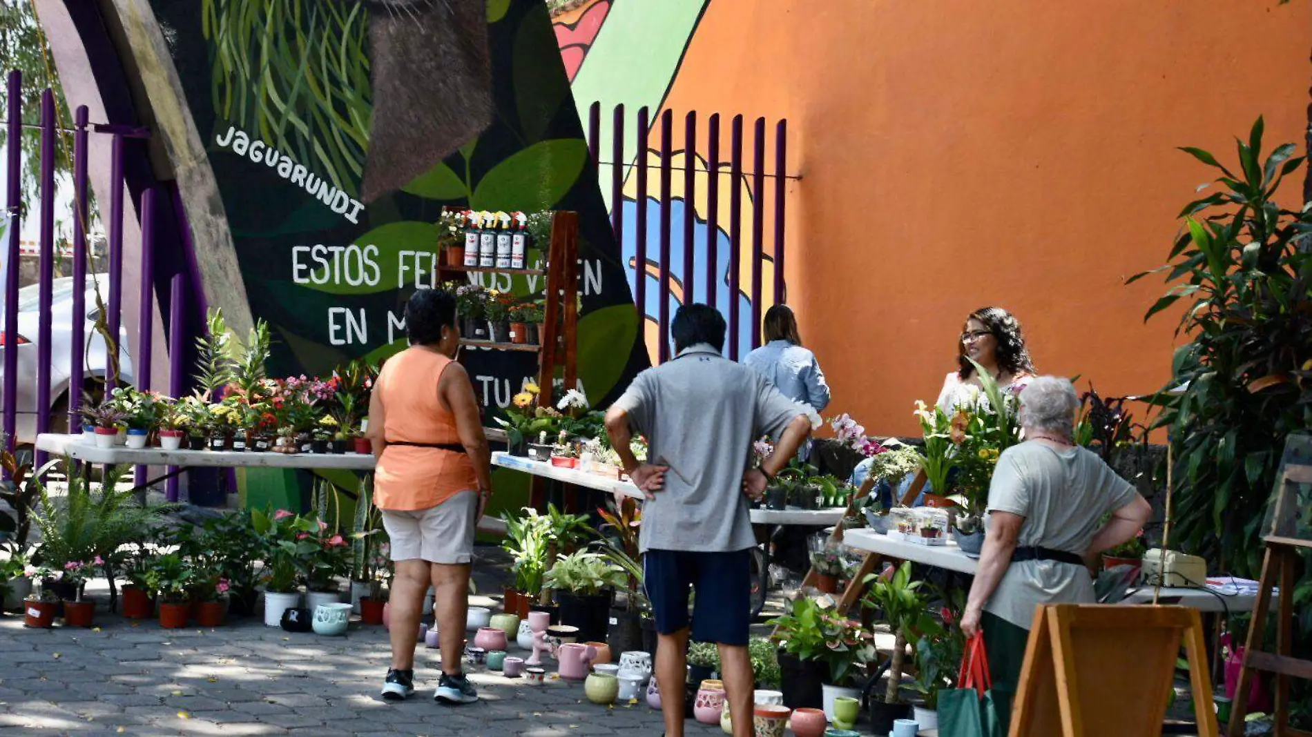 mercado-verde-froylán