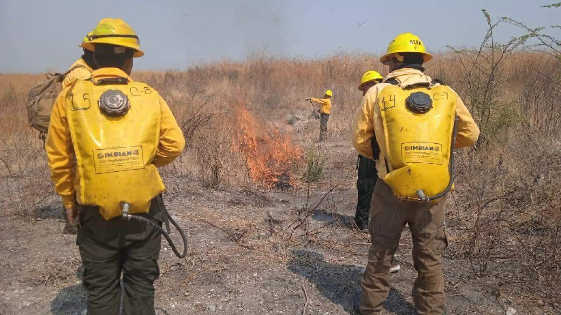 Incendio-zacatepec-cerro