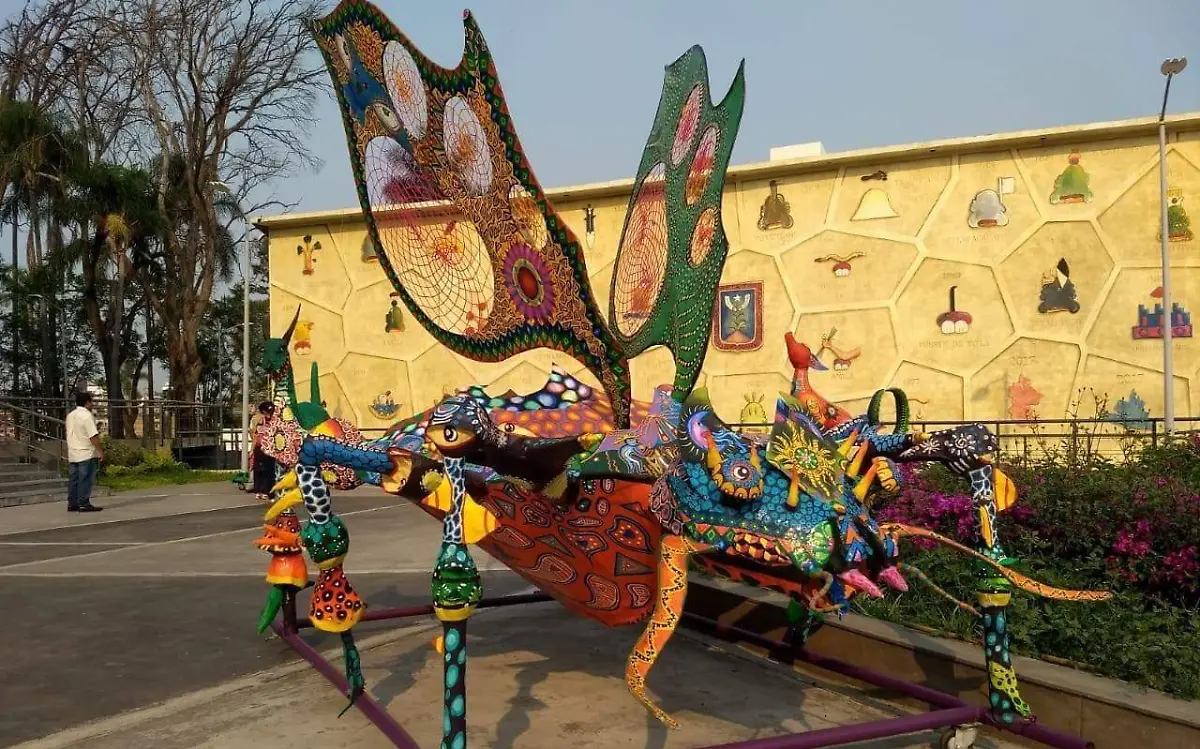 WhatsApp Image 2019-05-18 at 5.48.47 PM