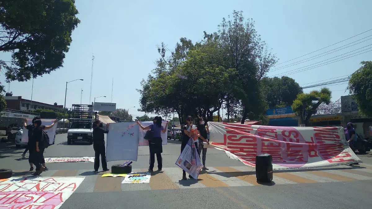 Manifestacion-paloma-nikte